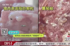 如何区分脂肪颗粒与“痘猪肉”？食用“痘猪肉”会影响健康吗？视频封面