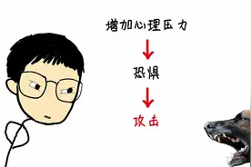 防狗咬指南：突然被狗攻击怎么办？你应该知道的6个正确对策视频封面