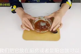 天气变暖，苍蝇也多了起来，教你自制灭蝇药水，让苍蝇有去无回