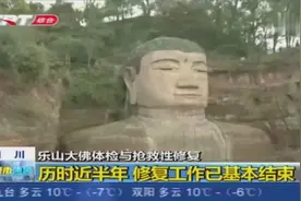 佛像也需要“体检”？历时近半年，乐山大佛修复工作已基本结束视频封面