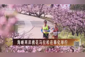 海峡两岸桃花马拉松在奉化举行视频封面