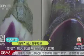 你知道如何挑选新鲜的嫩茄子吗？看看“茄眼”跟光泽度就够了视频封面