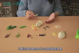 牢记仓鼠爱吃的食物和不能吃的食物视频封面