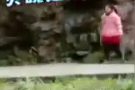 变形计张迪评价丽姐傻啦吧唧的就知道哭，还是陈新颖好视频封面