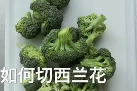 原来西兰花应该这么切 从零开始学厨艺如何用正确的方法切西兰花视频封面