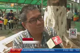 广州：清明拜祭迎节前小高峰视频封面
