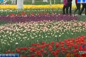 春暖花开的季节 踏青赏花需文明 莫让赏花成“伤花”视频封面