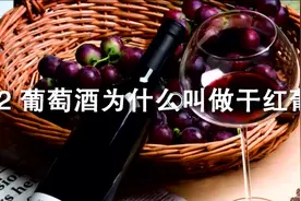 第二十二集《葡萄酒为什么叫做干红葡萄酒》视频封面