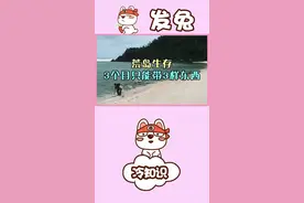 如果要你到荒岛上生存三个月，但是只能带三样东西，你会选择哪三样？#发兔冷知识 @发兔报道 @大吃货发兔视频封面