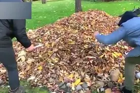 往淋了汽油的树叶堆上点火, 竟然还会爆炸, 整个人都吓傻了视频封面