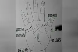手相中这种婚姻线感情是难以持续发展的视频封面