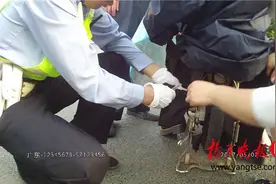女子裙子卷入电动车轮 交警为其披上雨衣化解尴尬图片