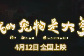 《我的宠物是大象》MV ，旋律动听视频封面