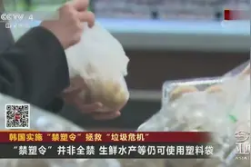韩国实施“禁塑令”拯救“垃圾危机”视频封面