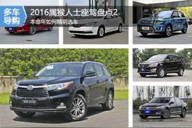 2016属猴人士座驾盘点 本命年如何精明选车图片