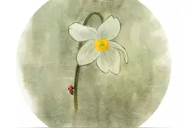 2016年对自己好一点！一整年的养生日历送给您！图片