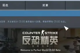 挂X去死吧！《CS:GO》国服正式迎来首封！图片