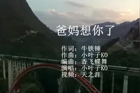 一首催人泪下的歌曲《爸妈我想你了》送给天堂的爸爸妈妈！