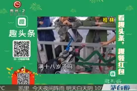 “74110”交警查获“最牛”车牌视频封面