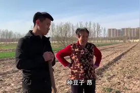 四块钱一颗的核桃树苗，要长多少年才能结果，种核桃树划不划算视频封面