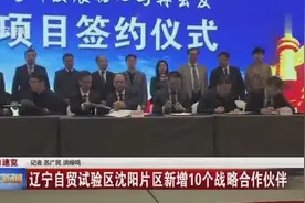 辽宁自贸试验区沈阳片区新增10个战略合作伙伴视频封面