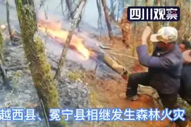 紧急扑救 凉山多地森林火灾 民兵轮番作业视频封面