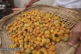 孩子不爱吃饭、肠胃不适怎么办？不妨试试青梅饼泡水视频封面