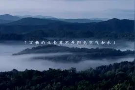 雅兰床垫携手MMC战神录，全力支持MMC战神录格斗之夜赛事图片