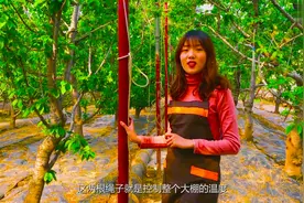 美女说，这两根绳子不能小瞧，用处大着呢
