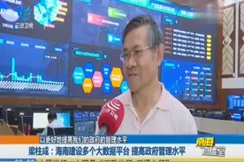 海南建设大数据平台，重点打造人流物流、资金流进岛信息管理系统视频封面