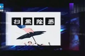 义乌判决一起组织领导恶势力集团犯罪案，16人获刑最高达20年视频封面