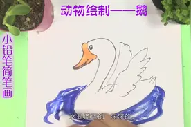 趣味简笔画：画一只大鹅，简单生动又有趣哦视频封面