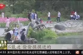 不文明游客踩踏西湖边花草，乱扔垃圾，花一样的出游花一样的素质视频封面