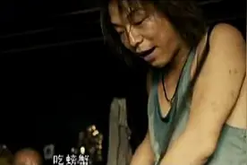 蟑螂含高蛋白原来出自这里视频封面