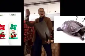 卖鞋哥鬼畜：卖鞋哥的粗鄙之语，气到诸葛亮不要不要的视频封面