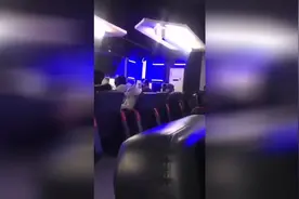 狗：这不是我想要的生活图片