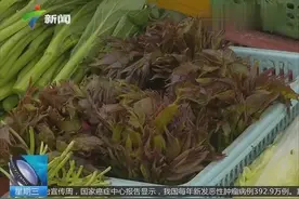 吃香椿引发食物中毒 老伯险丧命视频封面
