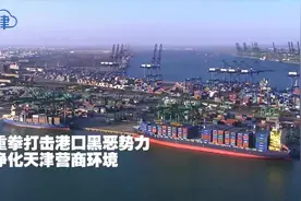 【津云微视·警法】重拳打击港口黑恶势力 净化天津营商环境视频封面