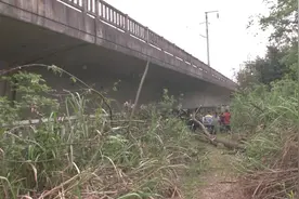 村民违规砍树，树倒在高铁线路上造成28趟列车晚点，被拘7天！视频封面