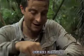 贝爷为什么不拍《荒野求生》了？原来竟然是被解雇了视频封面