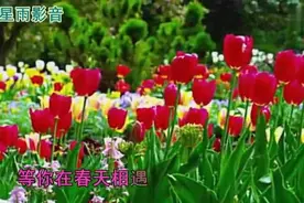 男女对唱一曲情歌《我在红尘中等你》听醉了，太好听了！视频封面