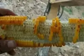 这美味，只有挖机师傅能懂！图片