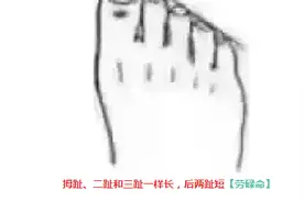 从脚趾长短看你这辈子是什么命！太准了视频封面