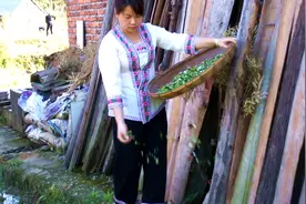 担心房子边有蛇，农家妹教你驱蛇妙招，值得收藏哦视频封面