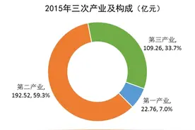铜川市2015年国民经济和社会发展统计公报图片