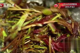 香椿是个好食材！大医生教你如何制作健康的香椿芽咸菜，一起来学视频封面