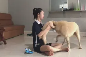 农家小妹好俏皮呀，跟狗狗玩耍还要打架，狗儿都生气了！视频封面