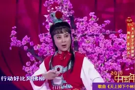 歌曲《天上掉下个林妹妹》,演唱：鞠萍、李玲玉视频封面