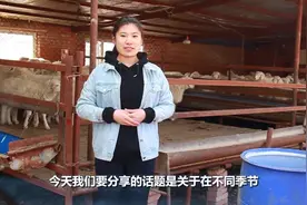 不同季节饲养小尾寒羊，有不同的养殖方法，以及注意的事项视频封面