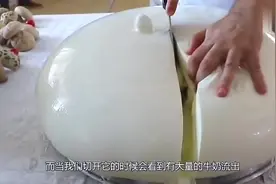 世界上最大的奶酪球，里面的内容十分丰富，一刀切下去，太爽了！视频封面
